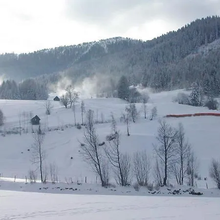 Gertraud Gæstehus Bad Kleinkirchheim