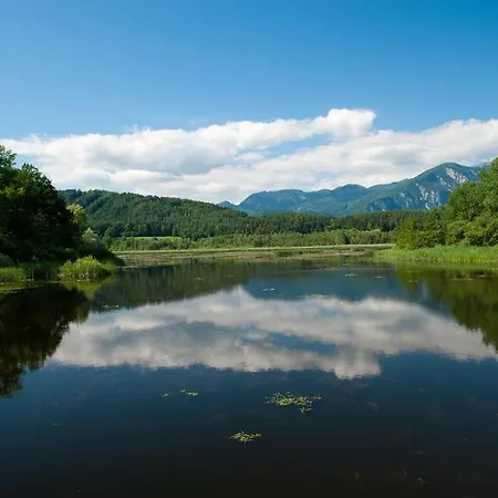 Gertraud בית הארחה 3*